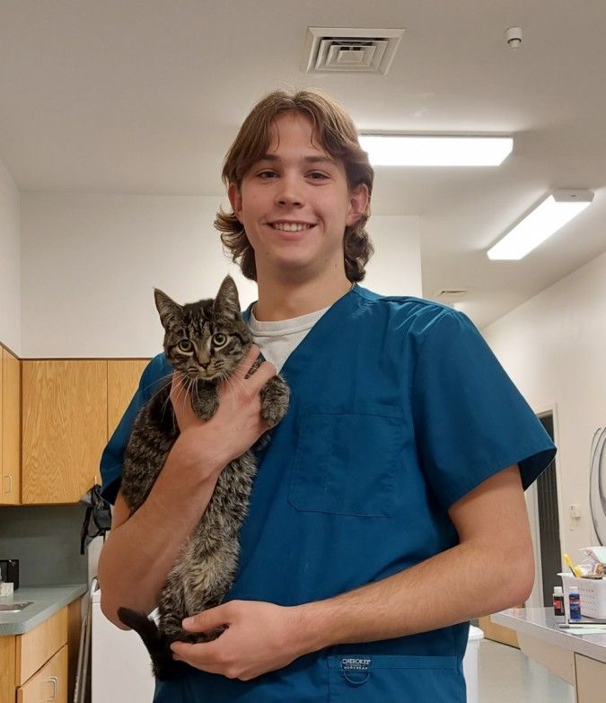 Owen, Veterinary Assistant