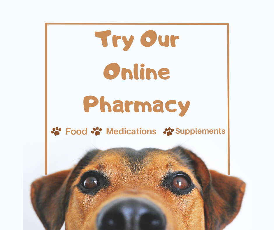 Shop Our Online Pharmacy!